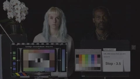 Visual for this record: ASC gave cinematographers a standard LED-volume test scene
